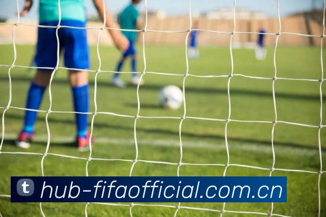 FIFA官方数据授权证书